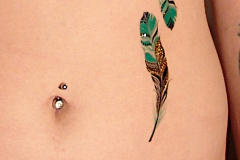 3 - Belly Feathers